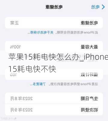 苹果15耗电快怎么办_iPhone15耗电快不快