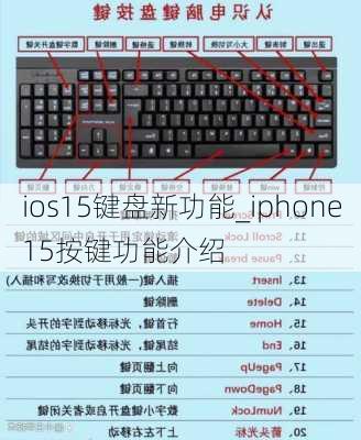 ios15键盘新功能_iphone15按键功能介绍