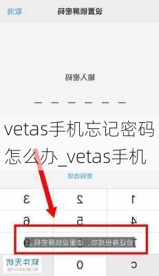 vetas手机忘记密码怎么办_vetas手机