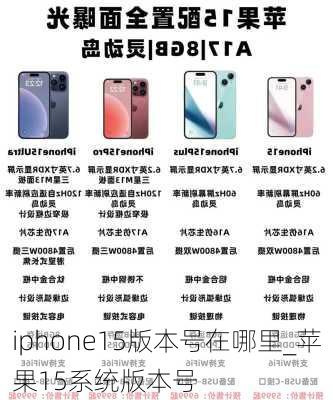 iphone15版本号在哪里_苹果15系统版本号