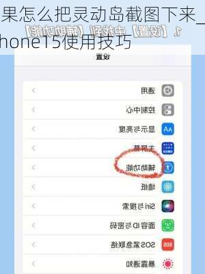 苹果怎么把灵动岛截图下来_iphone15使用技巧