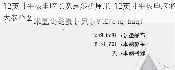 12英寸平板电脑长宽是多少厘米_12英寸平板电脑多大参照图