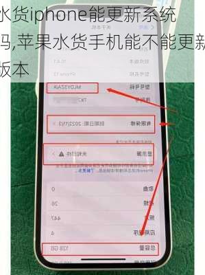 水货iphone能更新系统吗,苹果水货手机能不能更新版本