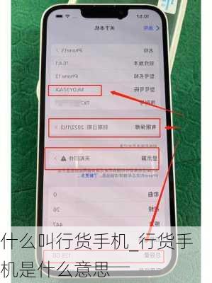 什么叫行货手机_行货手机是什么意思