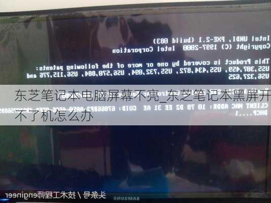 东芝笔记本电脑屏幕不亮_东芝笔记本黑屏开不了机怎么办