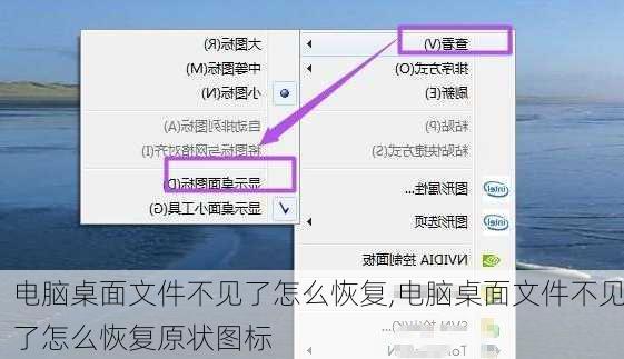 电脑桌面文件不见了怎么恢复,电脑桌面文件不见了怎么恢复原状图标