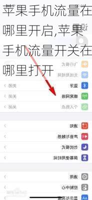 苹果手机流量在哪里开启,苹果手机流量开关在哪里打开