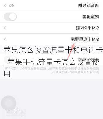 苹果怎么设置流量卡和电话卡_苹果手机流量卡怎么设置使用