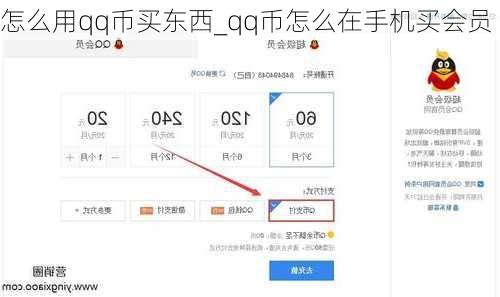 怎么用qq币买东西_qq币怎么在手机买会员