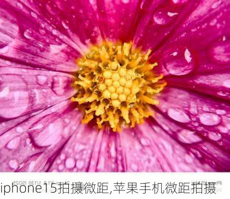 iphone15拍摄微距,苹果手机微距拍摄