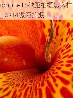 iphone15微距拍摄怎么样_ios14微距拍摄