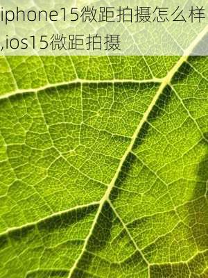 iphone15微距拍摄怎么样,ios15微距拍摄