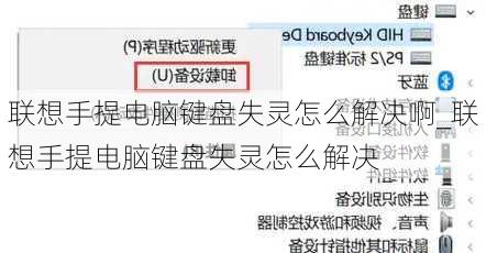 联想手提电脑键盘失灵怎么解决啊_联想手提电脑键盘失灵怎么解决