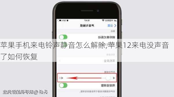 苹果手机来电铃声静音怎么解除,苹果12来电没声音了如何恢复