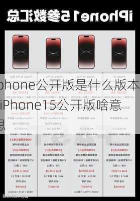 iphone公开版是什么版本_iPhone15公开版啥意思