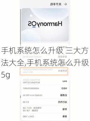 手机系统怎么升级 三大方法大全,手机系统怎么升级5g