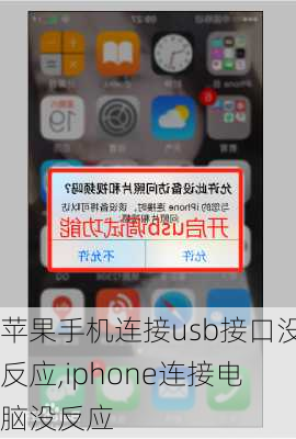 苹果手机连接usb接口没反应,iphone连接电脑没反应