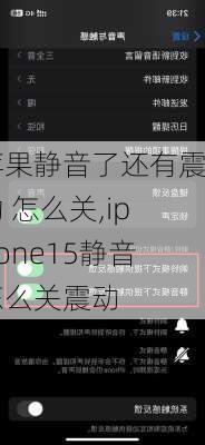 苹果静音了还有震动 怎么关,iphone15静音怎么关震动