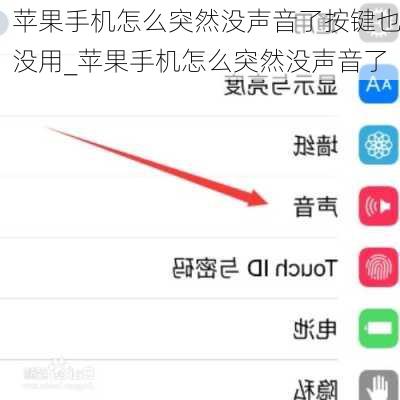 苹果手机怎么突然没声音了按键也没用_苹果手机怎么突然没声音了