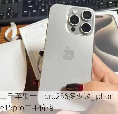 二手苹果十一pro256多少钱_iphone15pro二手价格