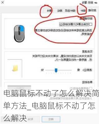 电脑鼠标不动了怎么解决简单方法_电脑鼠标不动了怎么解决