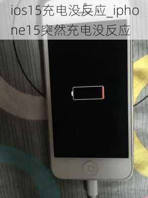 ios15充电没反应_iphone15突然充电没反应