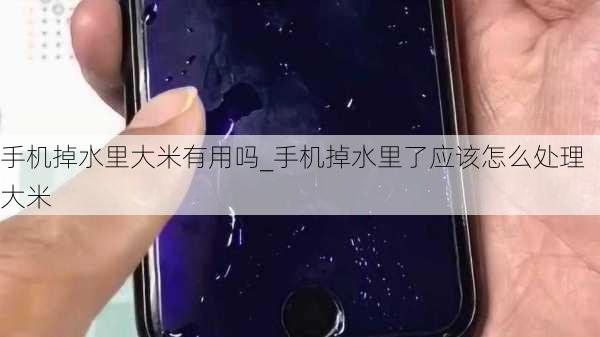 手机掉水里大米有用吗_手机掉水里了应该怎么处理大米