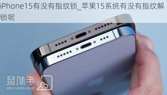 iPhone15有没有指纹锁_苹果15系统有没有指纹解锁呢