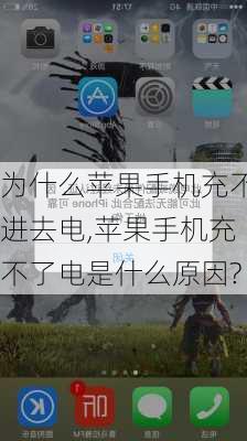 为什么苹果手机充不进去电,苹果手机充不了电是什么原因?