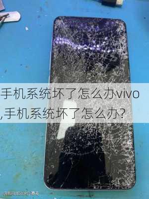 手机系统坏了怎么办vivo,手机系统坏了怎么办?