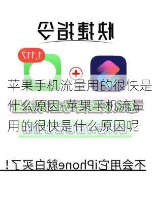 苹果手机流量用的很快是什么原因-苹果手机流量用的很快是什么原因呢