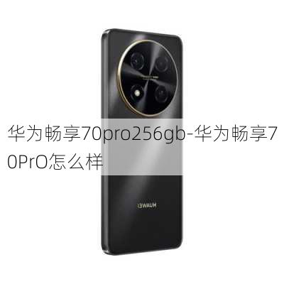 华为畅享70pro256gb-华为畅享70PrO怎么样