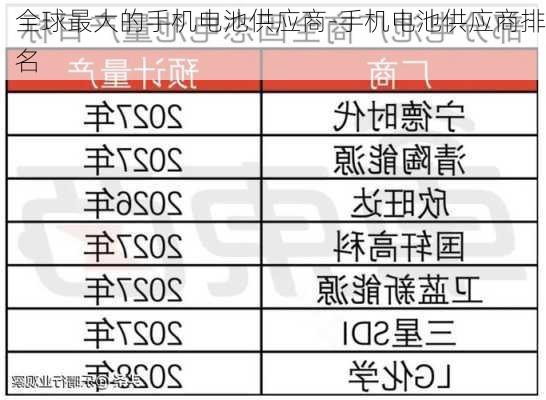 全球最大的手机电池供应商-手机电池供应商排名