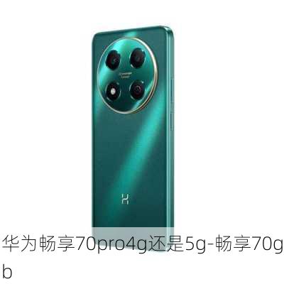 华为畅享70pro4g还是5g-畅享70gb