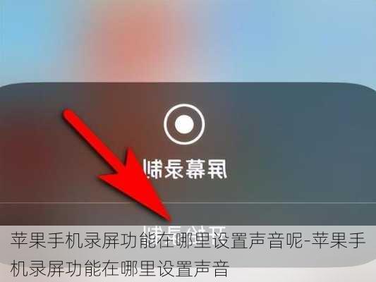 苹果手机录屏功能在哪里设置声音呢-苹果手机录屏功能在哪里设置声音