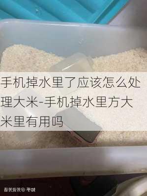 手机掉水里了应该怎么处理大米-手机掉水里方大米里有用吗