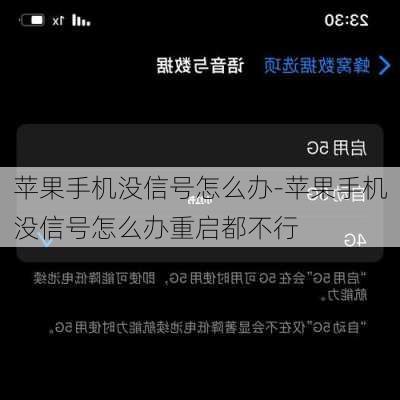 苹果手机没信号怎么办-苹果手机没信号怎么办重启都不行