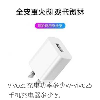 vivoz5充电功率多少w-vivoz5手机充电器多少瓦