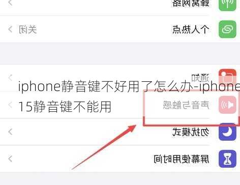 iphone静音键不好用了怎么办-iphone15静音键不能用