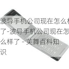 波导手机公司现在怎么样了-波导手机公司现在怎么样了 - 芙舞百科知识