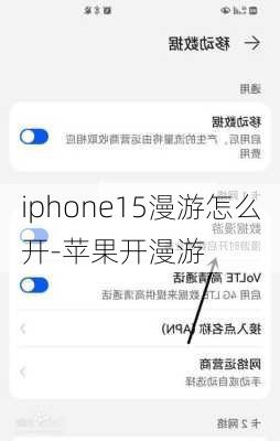 iphone15漫游怎么开-苹果开漫游