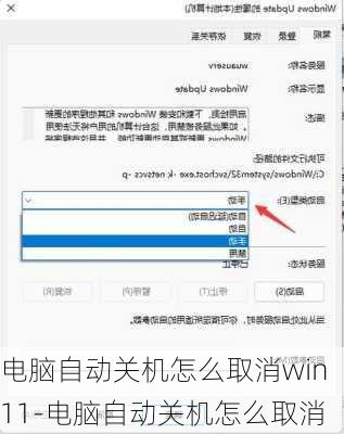 电脑自动关机怎么取消win11-电脑自动关机怎么取消