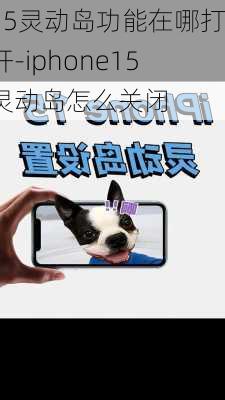 15灵动岛功能在哪打开-iphone15灵动岛怎么关闭