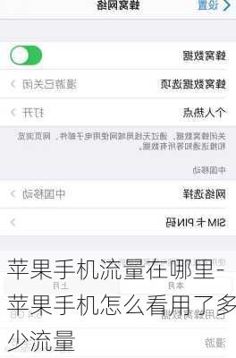苹果手机流量在哪里-苹果手机怎么看用了多少流量
