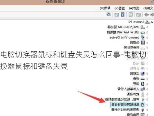电脑切换器鼠标和键盘失灵怎么回事-电脑切换器鼠标和键盘失灵