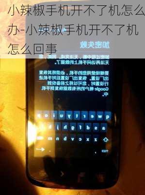 小辣椒手机开不了机怎么办-小辣椒手机开不了机怎么回事