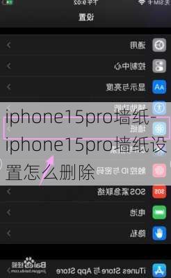 iphone15pro墙纸-iphone15pro墙纸设置怎么删除