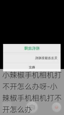 小辣椒手机相机打不开怎么办呀-小辣椒手机相机打不开怎么办