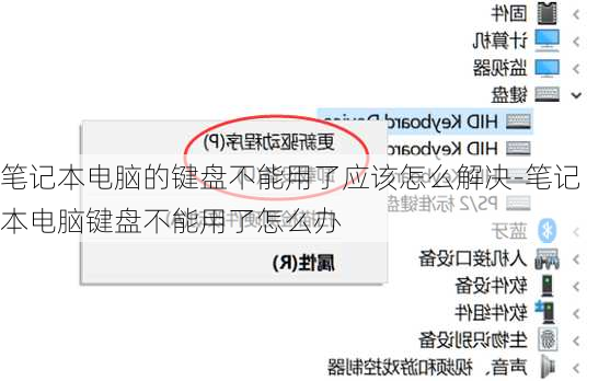 笔记本电脑的键盘不能用了应该怎么解决-笔记本电脑键盘不能用了怎么办