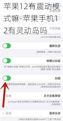 苹果12有震动模式嘛-苹果手机12有灵动岛吗